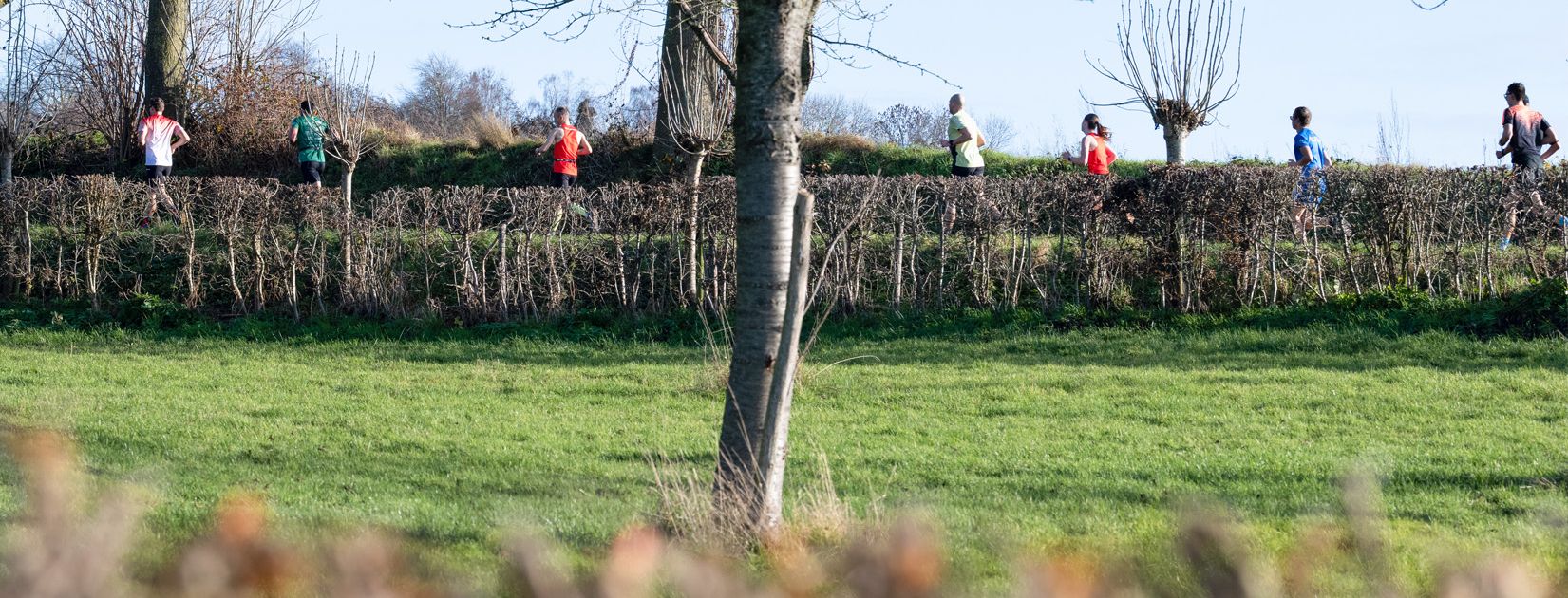FOTO HEADERS_6,1.jpg